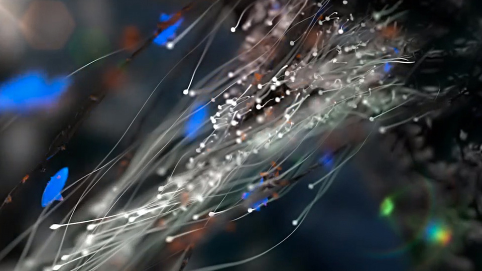 X-Particles C4D插件