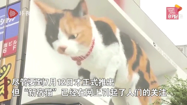 东京3D猫咪广告牌