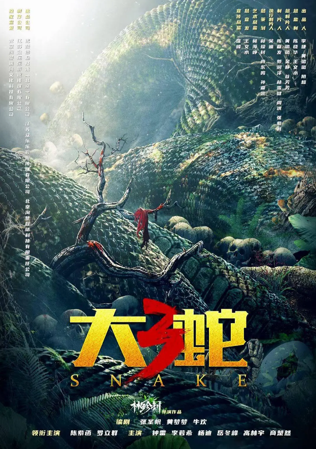 电影《大蛇3：龙蛇之战》海报