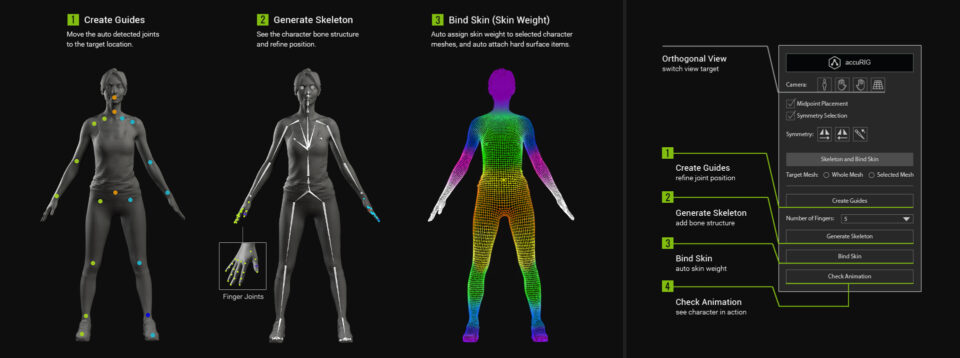 高级 AccuRIG 可自动绑定 3D 角色